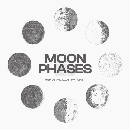 Illustration for High detail sketch of moon phase, cycle, stage Vector illustration - Royalty Free Image
