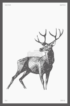Téléchargez les illustrations : Hand drawn vector illustration of elk, wapiti, deer. Vector illustration - en licence libre de droit