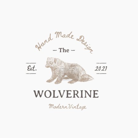 Illustration for High detail hand drawn vector illustration of wolverine. Vector illustration - Royalty Free Image