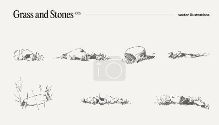 Illustration for Vector illustration of grass and stones, drawing. Vector illustration - Royalty Free Image