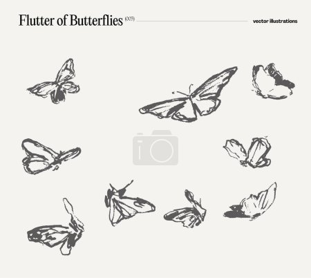 Ilustración de Enjambre de mariposas, ilustración vectorial dibujada a mano, dibujo realista, boceto. Ilustración vectorial - Imagen libre de derechos