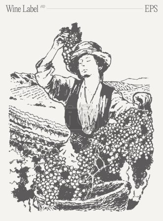 Téléchargez les illustrations : Une femme vertébrée dans une illustration en noir et blanc récolte des raisins dans un vignoble, capturant le geste et l'essence de la scène. - en licence libre de droit