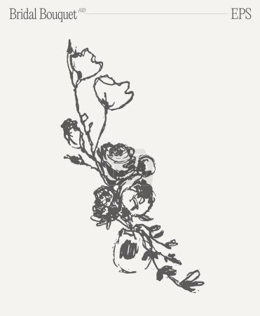 Illustration for Bridal bouquet, floral composition. Invitation design element. Hand drawn vector illustration, sketch. Vector illustration - Royalty Free Image
