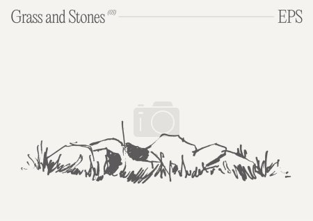 Illustration for A monochromatic artwork depicts an intricately detailed illustration of grass and rocks on a pristine white background. - Royalty Free Image