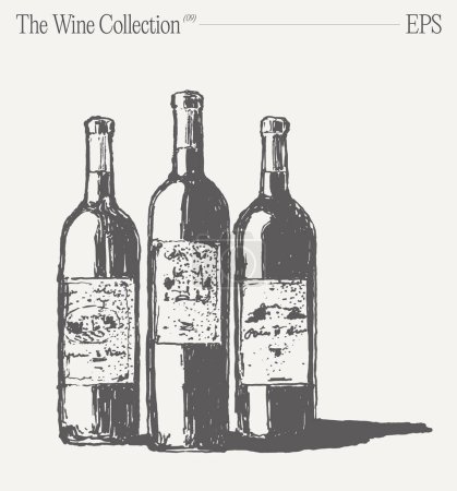 Ilustración de Tres botellas de vino aisladas sobre fondo en blanco. Ilustración vectorial dibujada a mano, boceto. Ilustración vectorial - Imagen libre de derechos