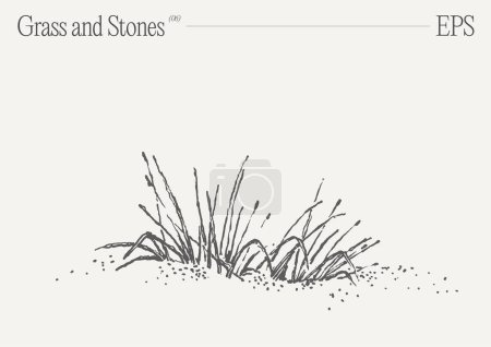 Téléchargez les photos : Une œuvre monochromatique représente une illustration complexe et détaillée de l'herbe et des roches sur un fond blanc immaculé. - en image libre de droit