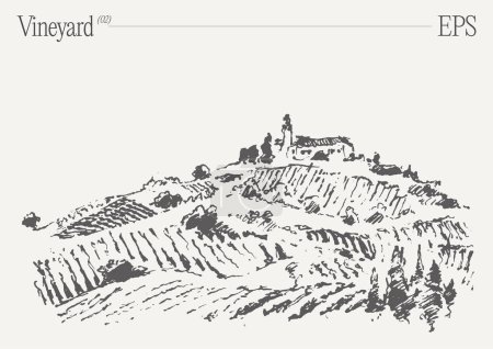 Illustration for Vineyard Landscape. Vintage wine Label Background. Hand drawn vector illustration, sketch. Vector illustration - Royalty Free Image
