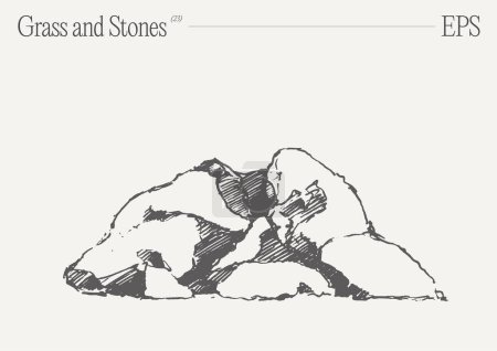 Ilustración de Una obra de arte monocromática representa una ilustración intrincadamente detallada de hierba y rocas sobre un fondo blanco prístino. - Imagen libre de derechos