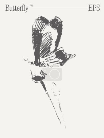 Ilustración de Una ilustración monocromática con una mariposa sobre una flor, mostrando la intrincada belleza de este insecto polinizador. - Imagen libre de derechos