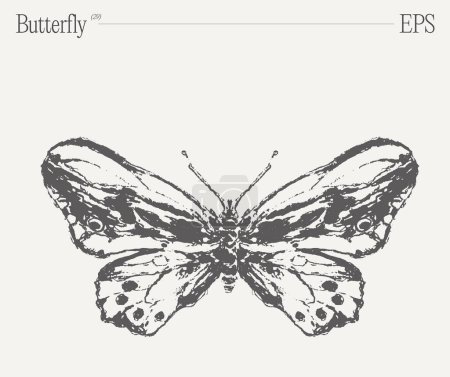 Illustration for A stunning black and white drawing featuring a butterfly, a vital pollinator insect and an exquisite arthropod with beautiful wings. - Royalty Free Image