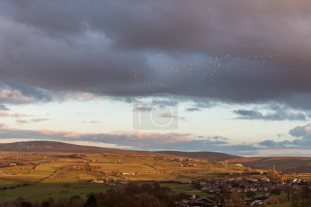 Photo for Flock of migrating birds over a Lancashire valley in UK - Royalty Free Image
