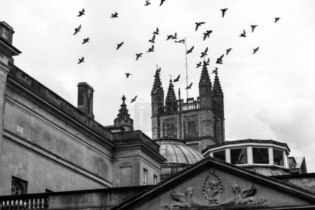 Téléchargez les photos : Image en noir et blanc d'oiseaux survolant l'abbaye de Bath au Royaume-Uni - en image libre de droit