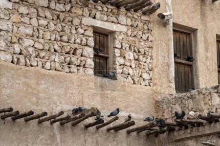 Téléchargez les photos : Oiseaux assis sur un poteau en bois de vieille maison à Doha Qatar - en image libre de droit