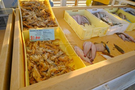 Photo for Boxes full of fresh fish, seafood with ice and prices close-up. Fish and seafood market in Senigallia, Italy. Raw fish - Royalty Free Image