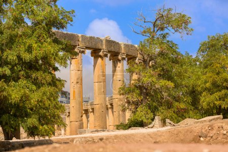 Téléchargez les photos : Jerash, Jordanie, place avec rangée de colonnes de Forum Plaza ovale sur le site archéologique, ruines de la période grecque et romaine - en image libre de droit