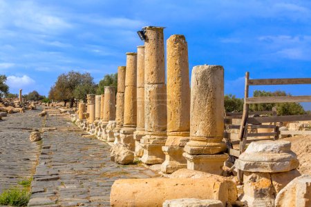Téléchargez les photos : Route romaine d'Umm Qais dans le nord de la Jordanie. Il est situé dans le nord-ouest du pays - en image libre de droit