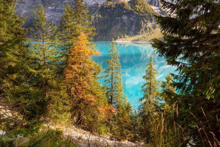 Photo for Autumn panorama of Oeschinensee Oeschinen lake and Alps near Kandersteg, Switzerland - Royalty Free Image