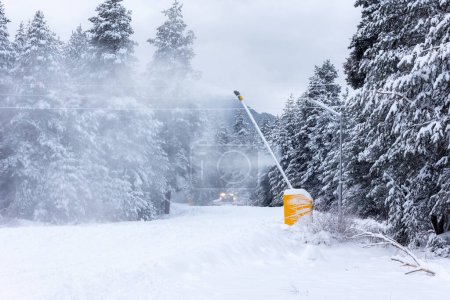 Téléchargez les photos : Machine ratrack snowcat préparant la piste de ski pour le ski alpin, station d'hiver Bansko, Bulgarie - en image libre de droit