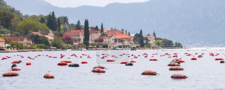 Mussel and oyster farm in Montenegro, Bay of Kotor and ancient town evening view, banner
