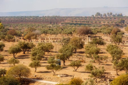 Téléchargez les photos : Vue aérienne de la route romaine des ruines de la ville antique d'Umm Qais, Jordanie. - en image libre de droit