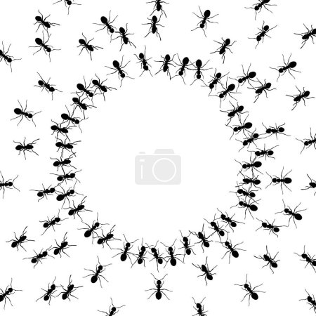 group of ants around an empty circle background 