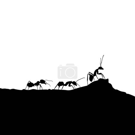 Illustration der Silhouette einer Ameisenkolonie