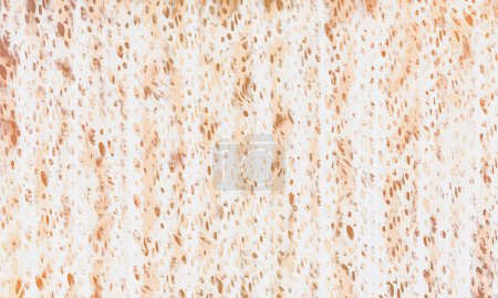 abstract brown and white dot  background for design 