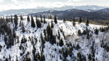 Téléchargez les photos : Belle vue sur les montagnes. Station de ski par une journée givrée. montagnes Carpates, Ukraine. Grand papier peint d'hiver. Photo de haute qualité - en image libre de droit