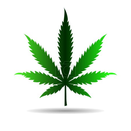 Illustration for Cannabis leaf with shadow isolated on white. Vector illustration - Royalty Free Image