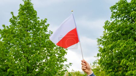 Téléchargez les photos : Gros plan de la main d'un homme avec le drapeau de la Pologne, sur fond de ciel et d'arbres verts. - en image libre de droit
