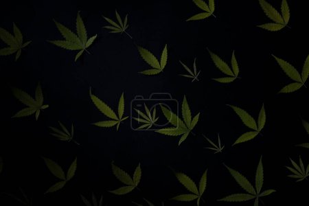 patrón de hoja de cannabis sobre fondo negro textura.