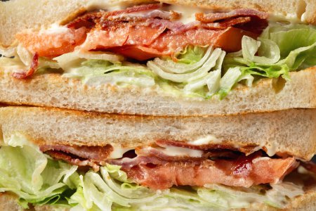 Photo for Fresh BLT Sandwich with Bacon Lettuce and Tomato. - Royalty Free Image