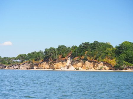 BrownSea Island the largest island in Poole Harbour seen from a boat