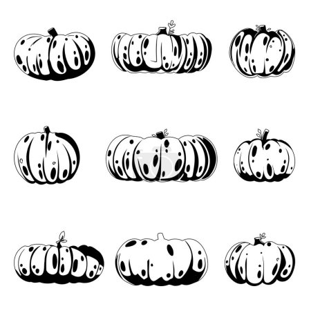 Illustration for This is a collection of large pumpkins for the autumn season. The pumpkins are either black or white in color. Childrens coloring page. - Royalty Free Image