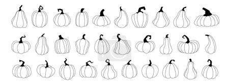 Illustration for Set pumpkins, squash vector symbols illustrations. Black linear style pumpkins, halloween squash, fall harvest gourds. Autumn thanksgiving and halloween pumpkins collection. - Royalty Free Image