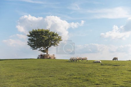 Photo for Beautiful view of Cleeve Hill, Cheltenham, Gloucestershire, England, Summer daytime - Royalty Free Image