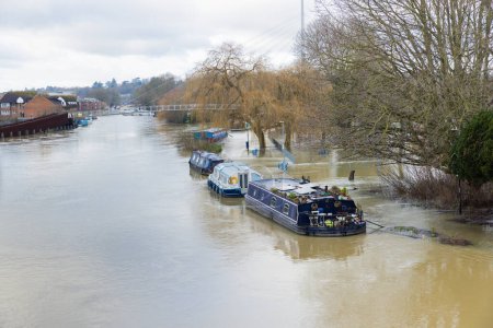 Téléchargez les photos : Les prairies dans de graves inondations le long de la rivière près de la Tamise de Caversham, zone de lecture du Berkshire, Angleterre. - en image libre de droit