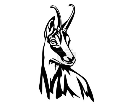 Illustration for Vector New Zealand CHAMOIS deer head | Any changes can be possible - Royalty Free Image