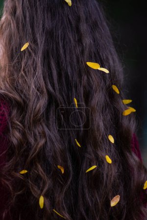 Photo for Back view of brunette woman with fall yellow leaves in long hair on autumn nature background. copy space - Royalty Free Image