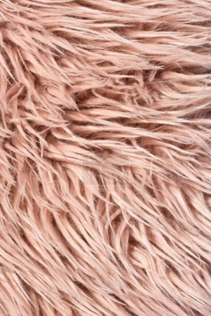 Photo for Natural animal wool seamless texture background. Texture for fluffy fur for designers. Textile concept, copy space. - Royalty Free Image