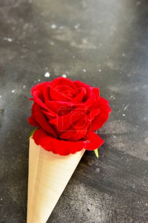 Photo for Red rose flower in a craft paper cone isolated on black background. Copy space. Valentine card concept. - Royalty Free Image