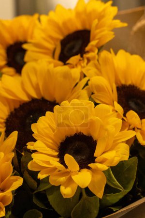 Photo for A beautiful bouquet of sunflowers stands in a vase . Bouquet for birthday , wedding ,in rustic style. copy space. Selective focus . Vertical photo. - Royalty Free Image