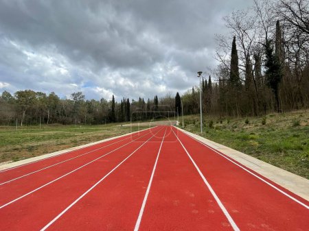 Piste d'athlétisme ou piste de course au parc principal Tiranas avec des arbres verts dans l'aire de jeux. Photo horizontale.