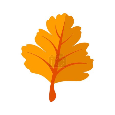 Ilustración de Primer plano de una vibrante hoja de otoño naranja sobre un fondo blanco liso. - Imagen libre de derechos