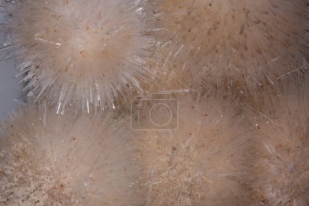 Photo for Sodium aluminosilicate crystals in close-up - Royalty Free Image