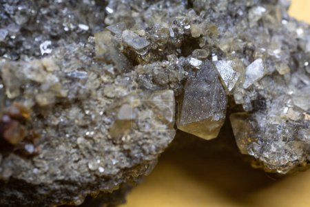 Photo for Little Barite crystals in close-up - Royalty Free Image