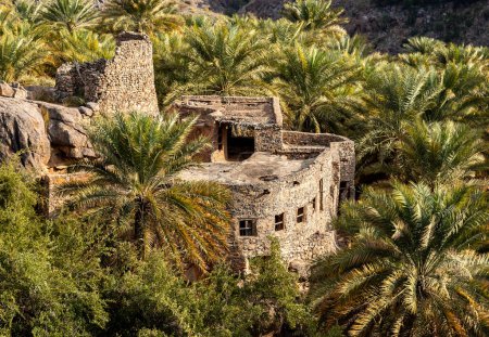 Foto de Antigua casa de pueblo de montaña Misfat Al Abriyeen rodeado por el jardín con palmeras datileras, Sultanato de Omán - Imagen libre de derechos