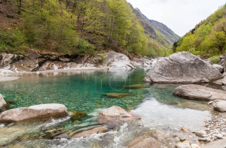 Téléchargez les photos : La vallée de Verzasca est un bel endroit naturel fait d'eaux cristallines, de montagnes vertes et de canyons, district de Locarno dans le canton du Tessin, Suisse - en image libre de droit