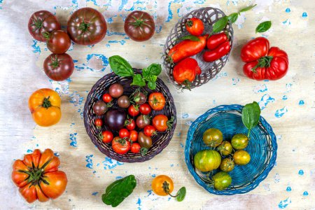 Photo for Tomatoes in baskets seen from above placed on an old cream board spotted with blue. - Royalty Free Image