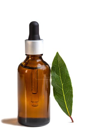 Photo for Bottle of laurel essential oil. - Royalty Free Image